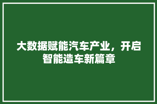 大数据赋能汽车产业，开启智能造车新篇章 seo技术