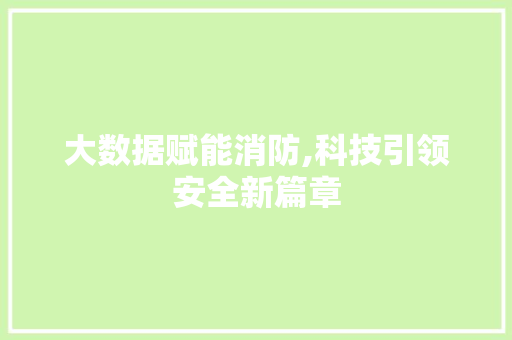 大数据赋能消防,科技引领安全新篇章 网站开发
