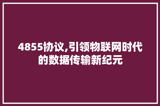 4855协议,引领物联网时代的数据传输新纪元