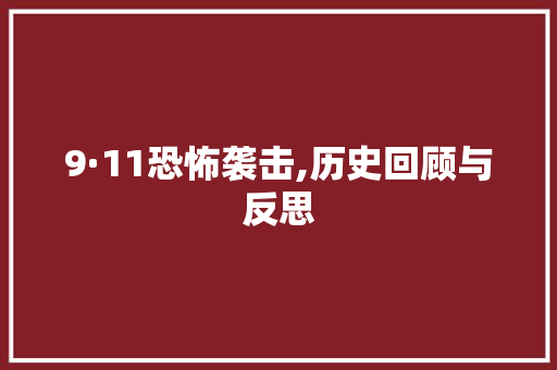9·11恐怖袭击,历史回顾与反思