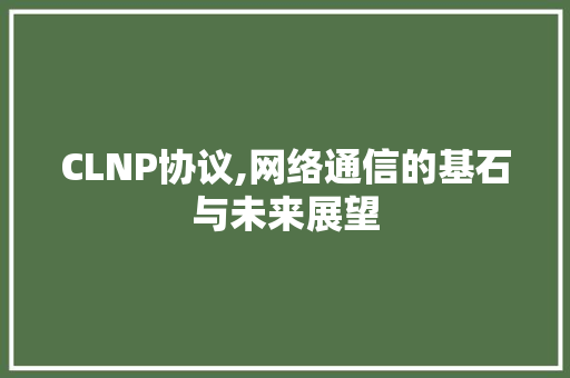 CLNP协议,网络通信的基石与未来展望 网站优化