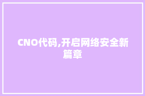 CNO代码,开启网络安全新篇章 网站优化