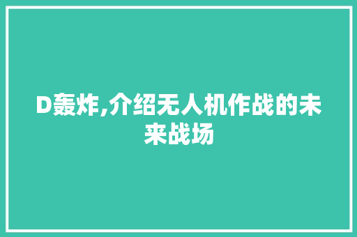 D轰炸,介绍无人机作战的未来战场