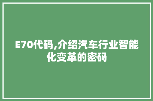 E70代码,介绍汽车行业智能化变革的密码 360搜优化