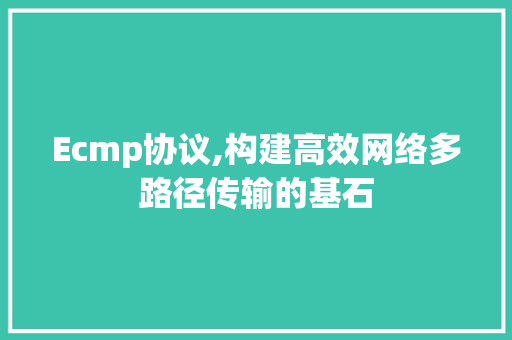 Ecmp协议,构建高效网络多路径传输的基石 网站优化