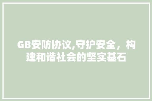 GB安防协议,守护安全，构建和谐社会的坚实基石