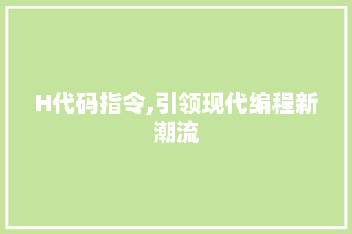 H代码指令,引领现代编程新潮流
