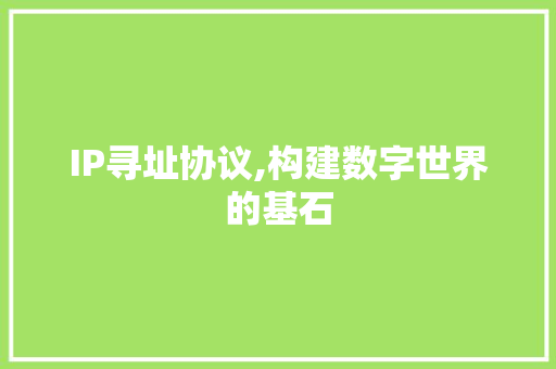 IP寻址协议,构建数字世界的基石 英文谷歌算法