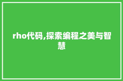 rho代码,探索编程之美与智慧 seo技术