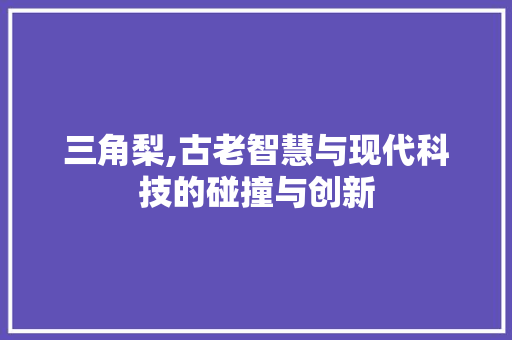 三角梨,古老智慧与现代科技的碰撞与创新