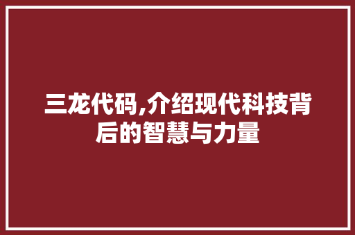 三龙代码,介绍现代科技背后的智慧与力量 网站开发