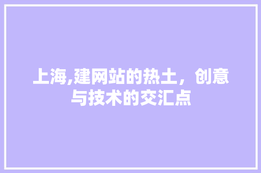 上海,建网站的热土，创意与技术的交汇点