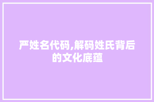严姓名代码,解码姓氏背后的文化底蕴