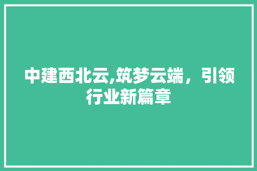 中建西北云,筑梦云端，引领行业新篇章 小程序开发