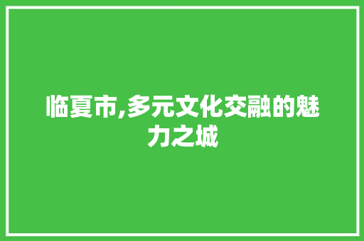 临夏市,多元文化交融的魅力之城