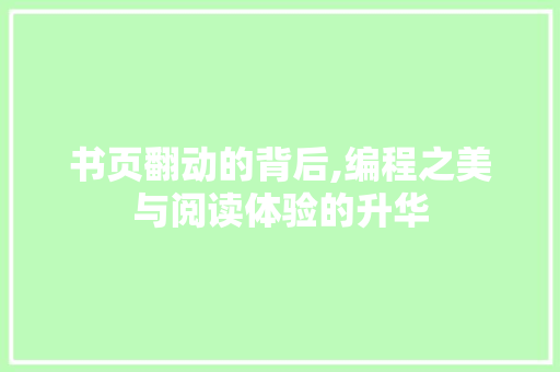 书页翻动的背后,编程之美与阅读体验的升华 网站优化