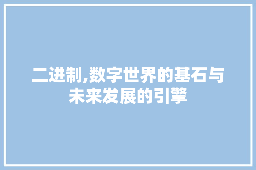 二进制,数字世界的基石与未来发展的引擎