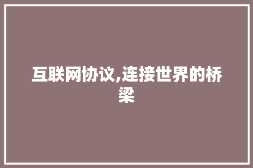 互联网协议,连接世界的桥梁 搜狗优化