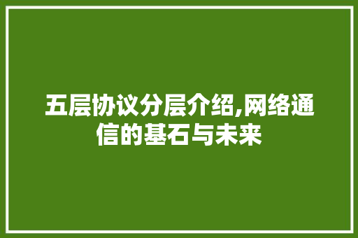 五层协议分层介绍,网络通信的基石与未来 网站开发
