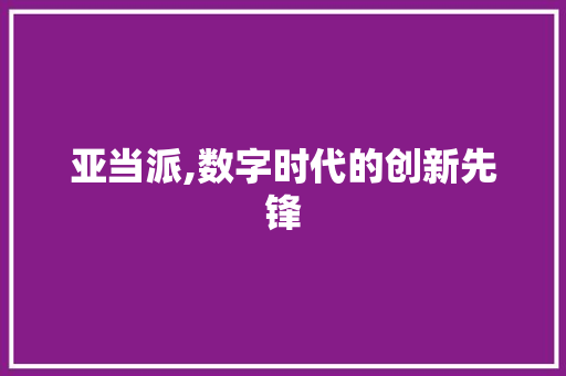 亚当派,数字时代的创新先锋 网站优化