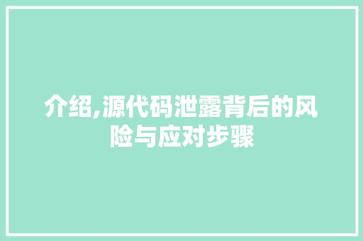 介绍,源代码泄露背后的风险与应对步骤