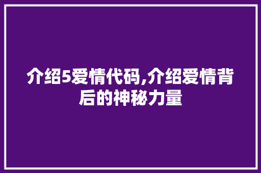 介绍5爱情代码,介绍爱情背后的神秘力量