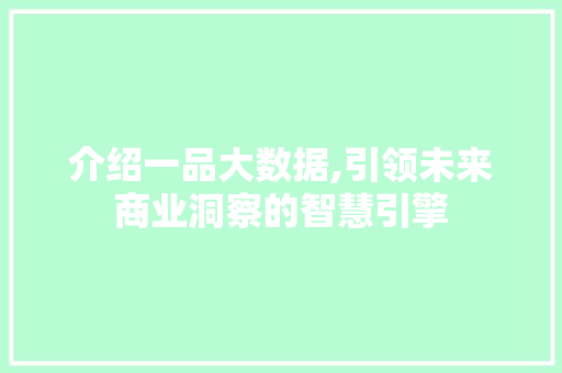 介绍一品大数据,引领未来商业洞察的智慧引擎 英文谷歌算法