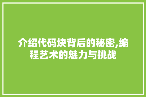 介绍代码块背后的秘密,编程艺术的魅力与挑战 网站优化