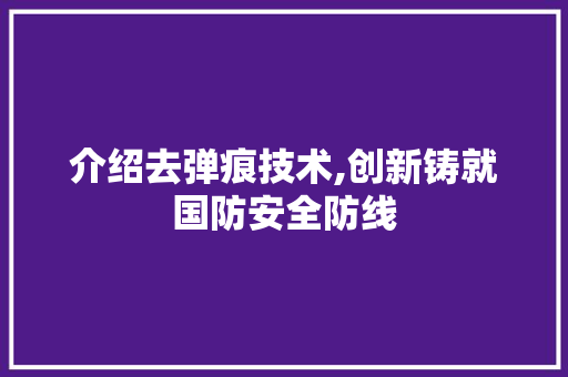 介绍去弹痕技术,创新铸就国防安全防线 搜狗优化