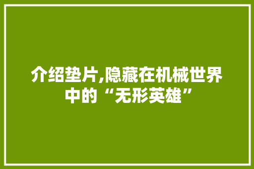 介绍垫片,隐藏在机械世界中的“无形英雄” 网站开发