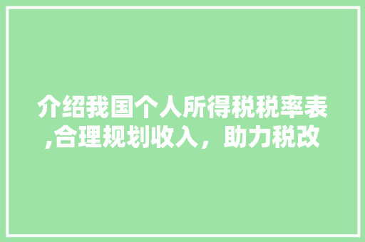 介绍我国个人所得税税率表,合理规划收入，助力税改红利落地 搜狗优化