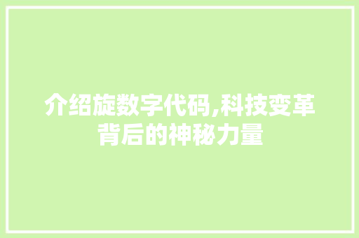 介绍旋数字代码,科技变革背后的神秘力量 seo技术