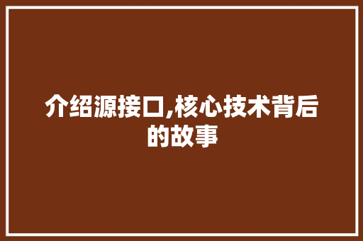 介绍源接口,核心技术背后的故事 AI技术学习