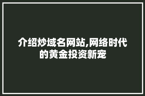 介绍炒域名网站,网络时代的黄金投资新宠 AI技术学习