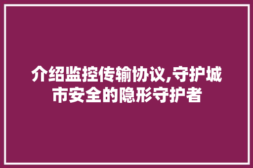 介绍监控传输协议,守护城市安全的隐形守护者 小程序开发