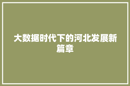 大数据时代下的河北发展新篇章