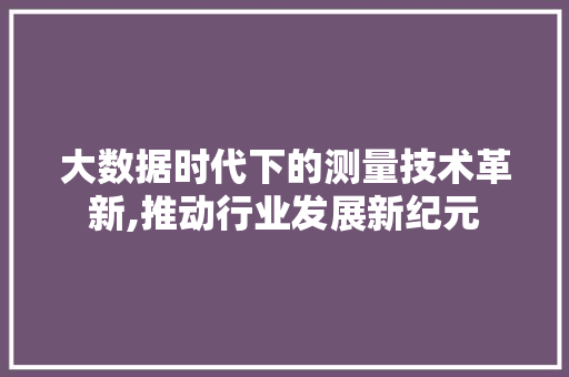 大数据时代下的测量技术革新,推动行业发展新纪元