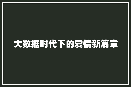 大数据时代下的爱情新篇章