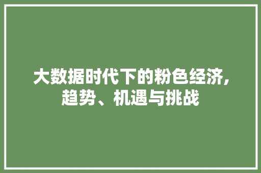 大数据时代下的粉色经济,趋势、机遇与挑战