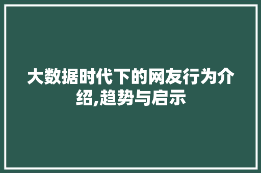 大数据时代下的网友行为介绍,趋势与启示