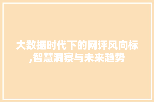 大数据时代下的网评风向标,智慧洞察与未来趋势 360搜优化