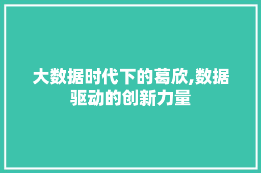 大数据时代下的葛欣,数据驱动的创新力量 头条优化