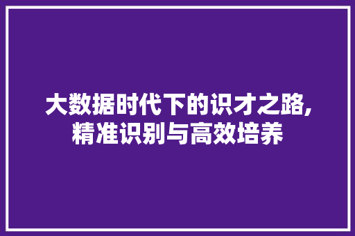 大数据时代下的识才之路,精准识别与高效培养 百度算法