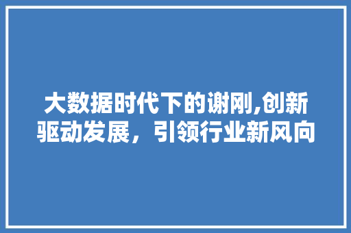 大数据时代下的谢刚,创新驱动发展，引领行业新风向 网站开发