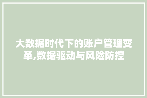 大数据时代下的账户管理变革,数据驱动与风险防控 seo技术