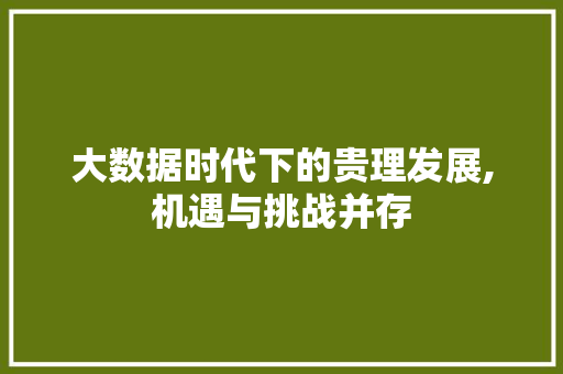 大数据时代下的贵理发展,机遇与挑战并存 网站开发