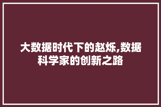 大数据时代下的赵烁,数据科学家的创新之路 头条优化