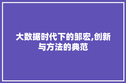 大数据时代下的邹宏,创新与方法的典范 网站开发