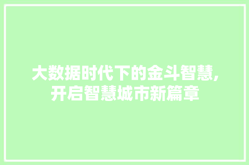 大数据时代下的金斗智慧,开启智慧城市新篇章 seo技术