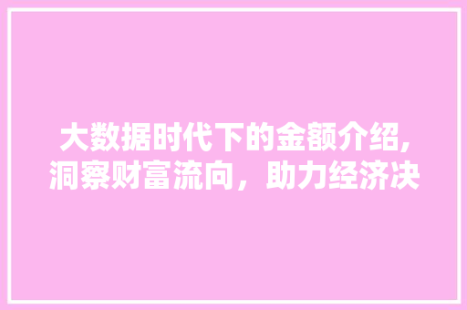 大数据时代下的金额介绍,洞察财富流向，助力经济决策